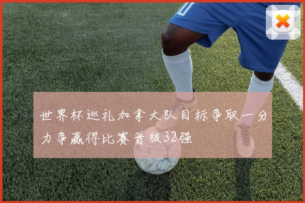 世界杯巡礼加拿大队目标争取一分力争赢得比赛晋级32强