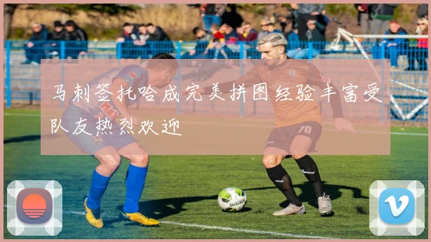 马刺签托哈成完美拼图经验丰富受队友热烈欢迎